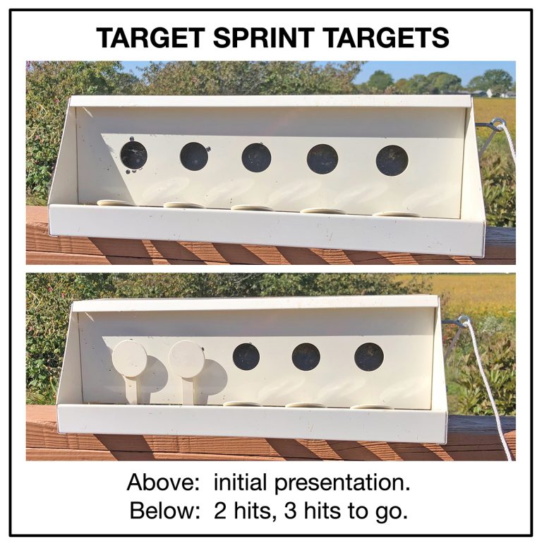 NEW CMP AIR RIFLE AND AIR PISTOL COMPETITION PROGRAM Civilian