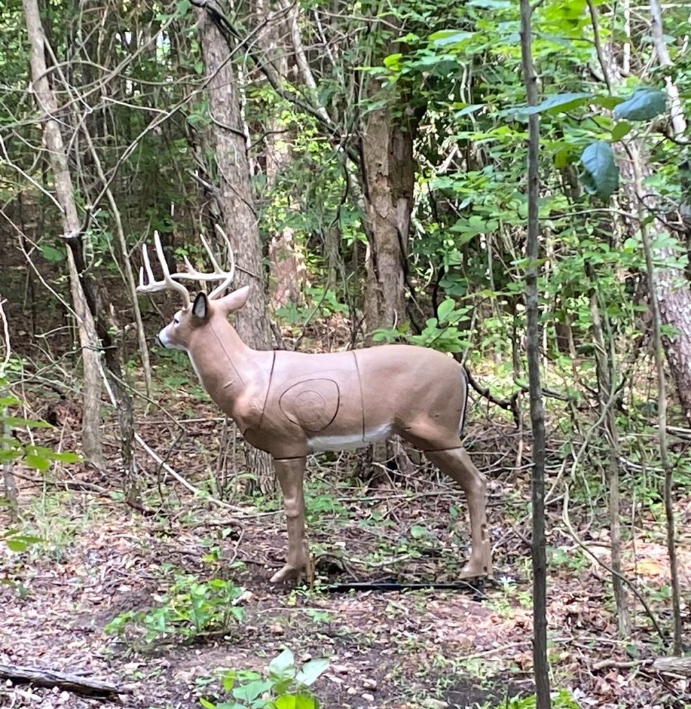 Archery 3D target