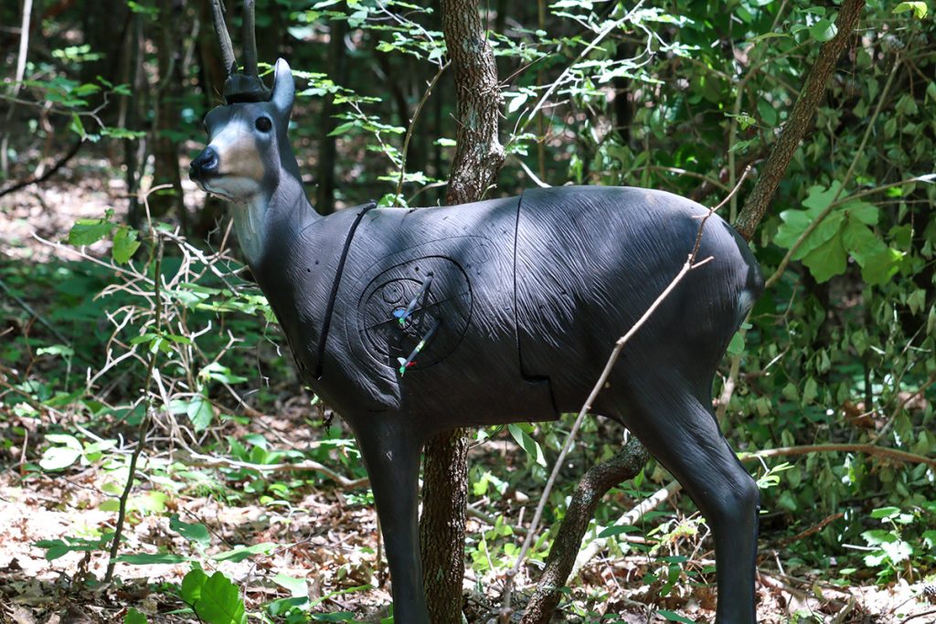 A lifesize 3D target that resembles a deer in the woods.